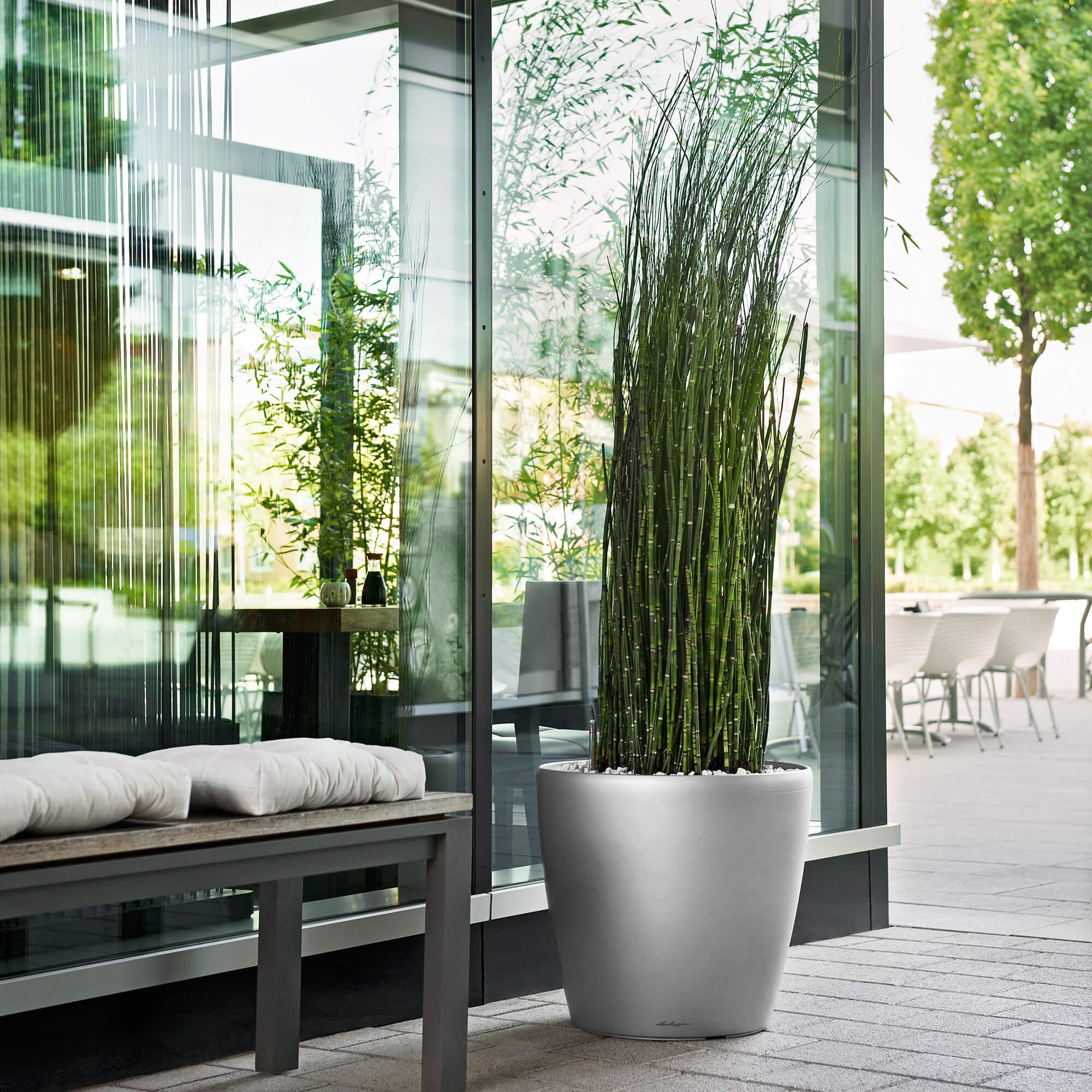 CLASSICO Premium 60 charcoal metallic